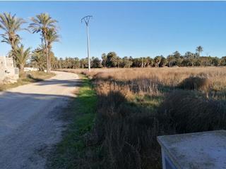 Finca rústica a La Foia - Daimés - Asprella. Terreno en zona daimes elche