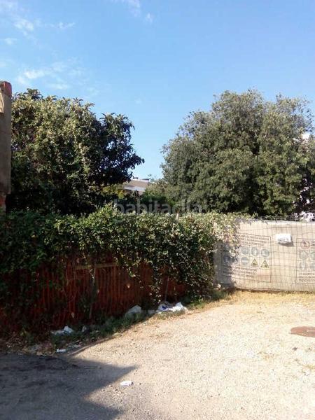 Foto a1fa6f9b-7cb4-4a16-af55-2159eccb2c48. Terreno residencial solar urbà gran en Riudoms