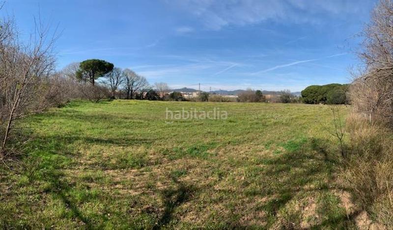 Foto 5ffba94e-0b69-4a54-8e92-753f6054d45d. Terreny residencial a Riudoms