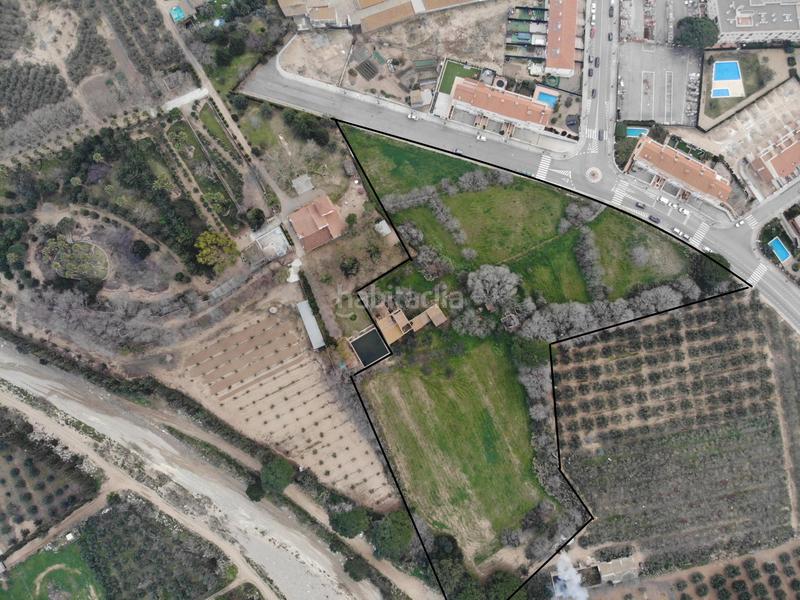 Foto 7fe5f1e7-51e6-4f7e-afb2-4ff5fdb6e6c9. Terreny residencial a Riudoms