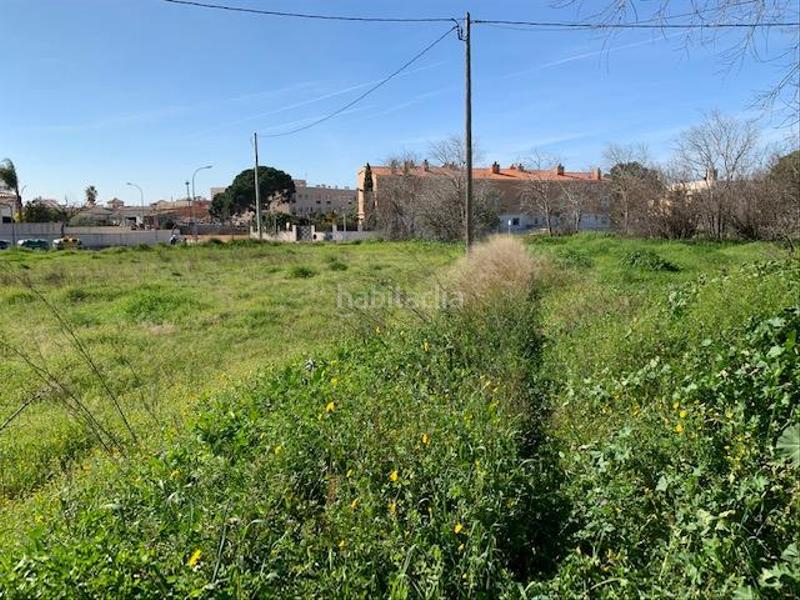 Foto fdb54bed-f2ca-4ce9-b305-a6e0b87e2879. Terreny residencial a Riudoms