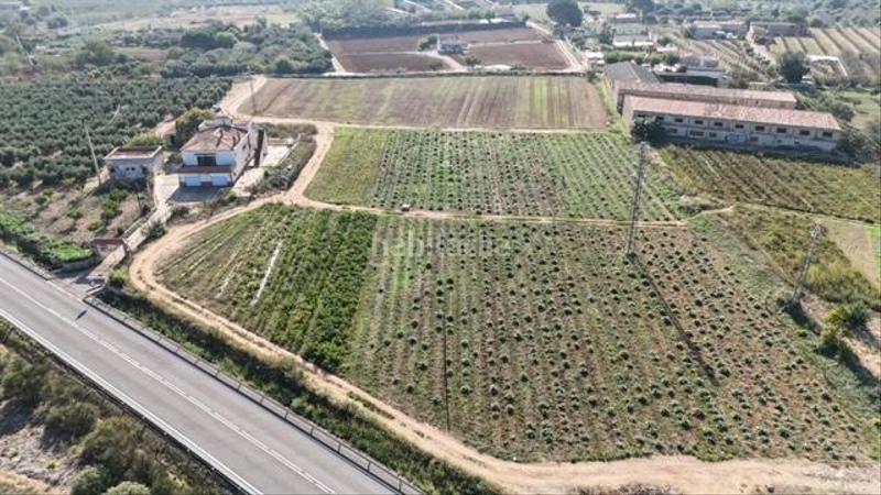 Foto 903ded6c-ab2c-4ab8-bd05-0be7667789c6. Bauernhof in Riudoms