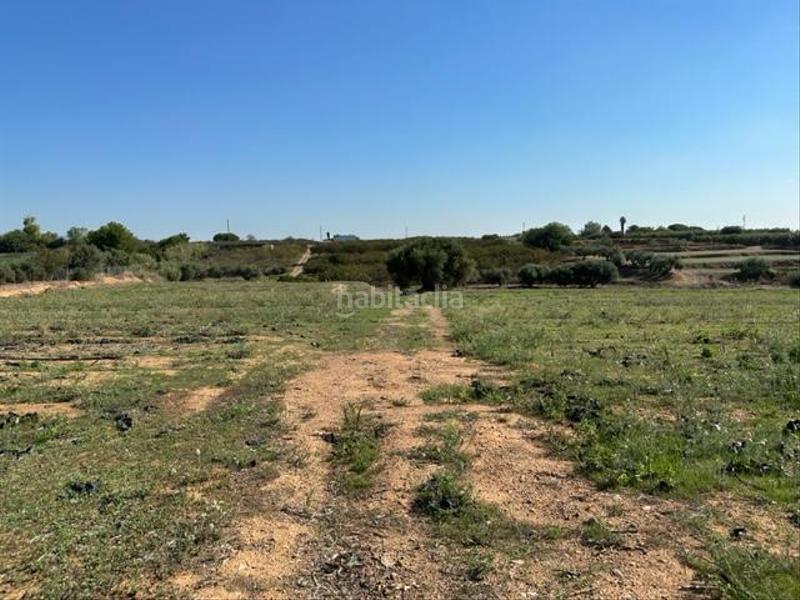 Foto 2f67e94c-b10e-40b3-a44d-682119b96e87. Wohngrundstück in Riudoms