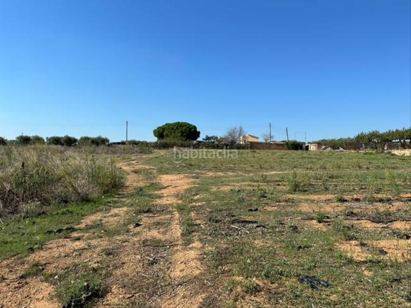 Foto 30b12280-7939-46a2-863e-89dc06ba1a6e. Wohngrundstück in Riudoms