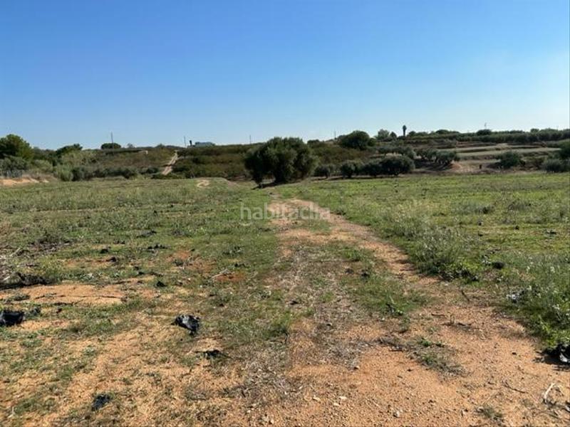 Foto 31d4bcf1-0863-4545-96cb-94872e5e2e13. Wohngrundstück in Riudoms