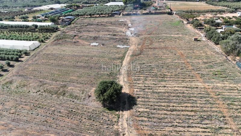 Foto 91156acf-2098-47d3-896e-4716e94219eb. Wohngrundstück in Riudoms