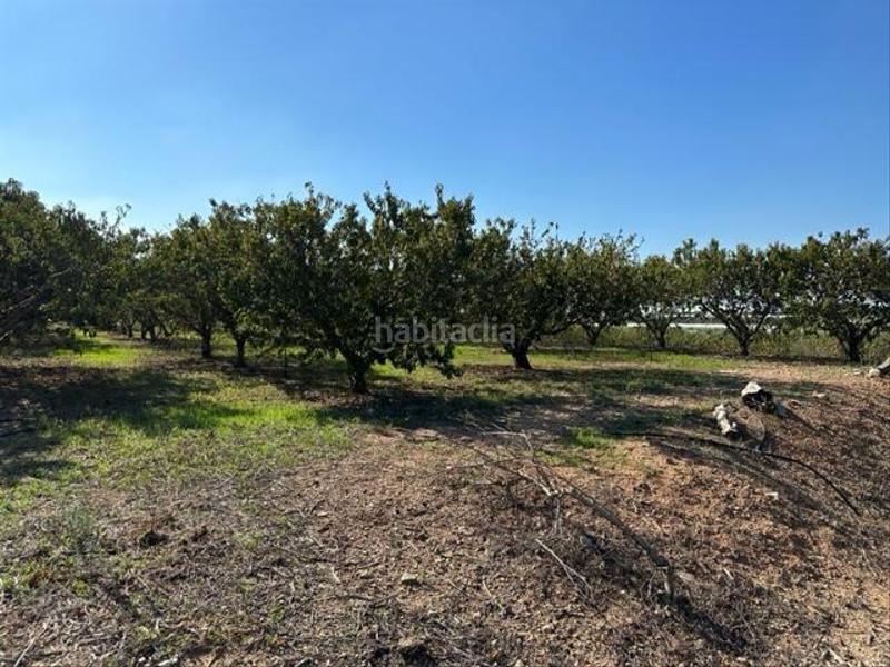 Foto b678999b-3025-4f01-8089-a6b4ff712292. Wohngrundstück in Riudoms