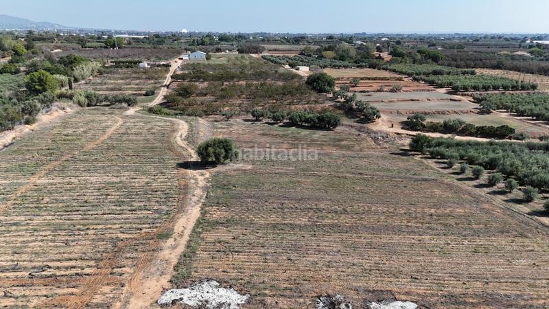 Foto c22f5580-bd27-486b-9d84-d2236b87d46e. Wohngrundstück in Riudoms