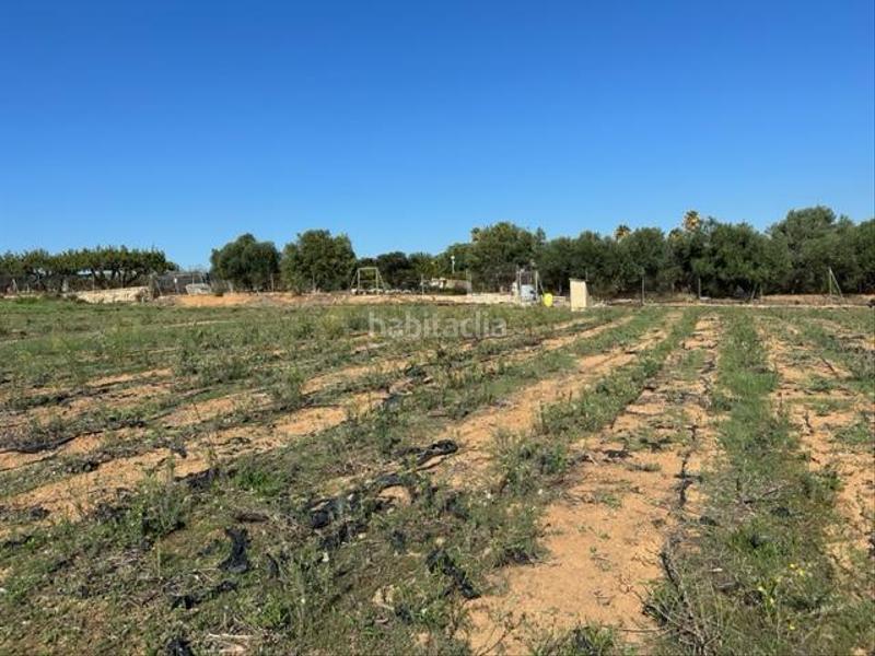 Foto d6a913ca-a151-4590-ac73-6fdef317398c. Wohngrundstück in Riudoms