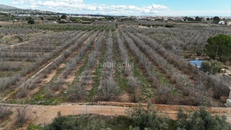 Foto 89bd3537-43f8-4e45-8ad5-1076225509d7. Terreny residencial a Riudoms