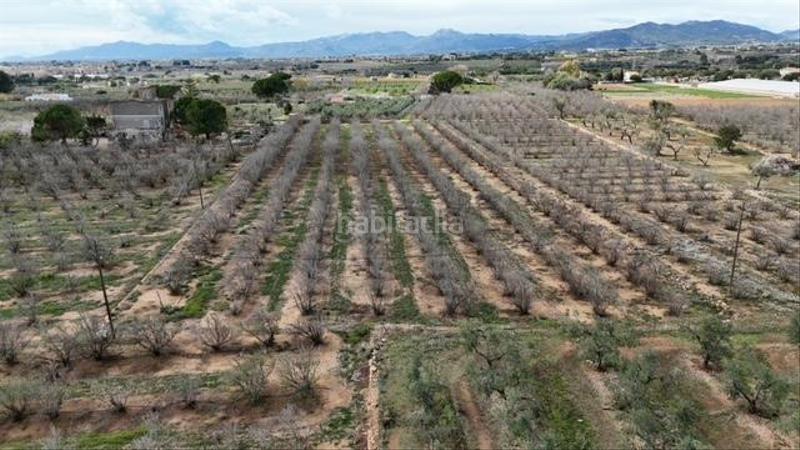 Foto 9f66e05e-d8be-441b-9247-67b0fc2e35be. Terreny residencial a Riudoms