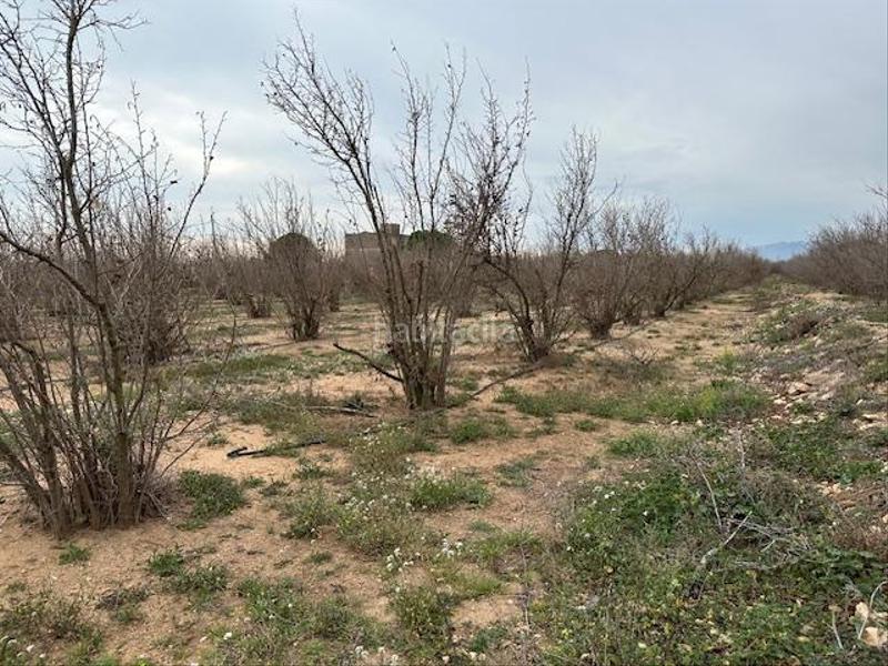 Foto a659af18-1c43-4cee-bc75-462d58bb5775. Terreny residencial a Riudoms