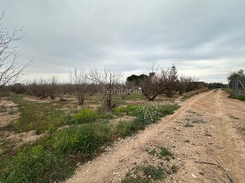 Foto bc562708-9573-470a-a8e1-da7f50e48b07. Terreny residencial a Riudoms