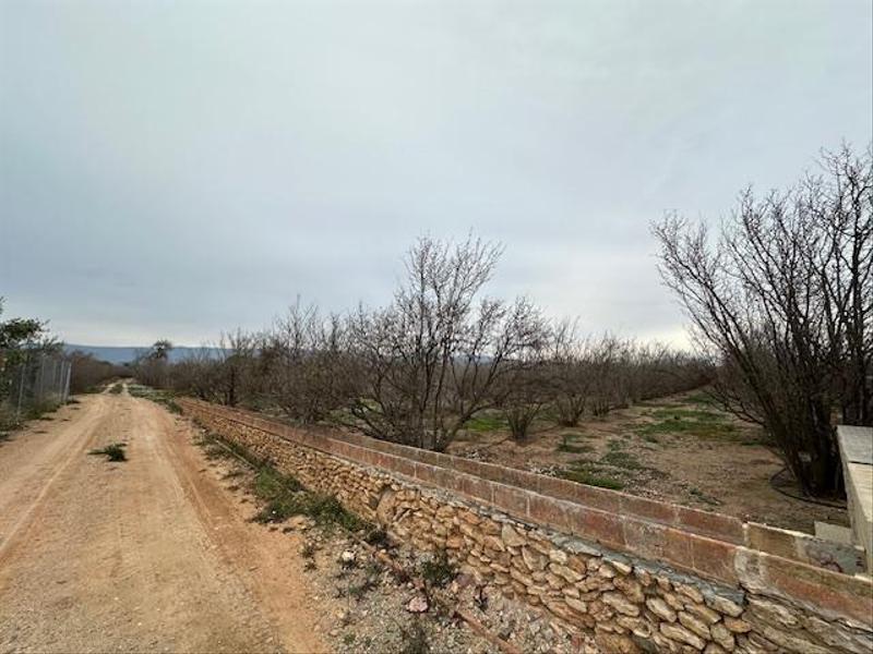 Foto bd71b63c-e091-4c49-a94c-611dfd12b03c. Terreny residencial a Riudoms