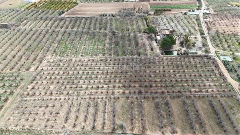 Foto c20b6391-12bc-424e-8218-8f74061fa9e5. Terreny residencial a Riudoms