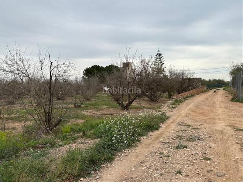 Foto d3edea00-a1d4-4cf5-8f10-a40c9f545166. Terreny residencial a Riudoms