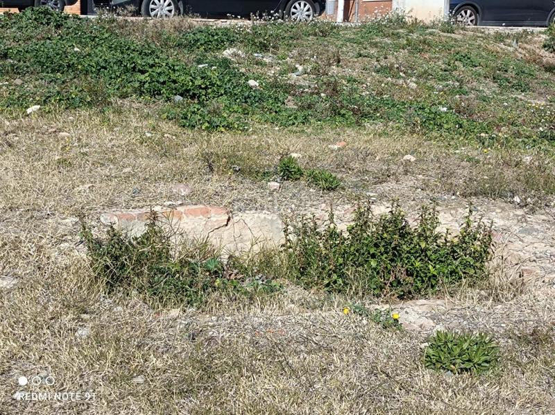 Foto c16a6754-12f0-444f-83ea-34314d02383d. Terreno residenziale in Riudoms