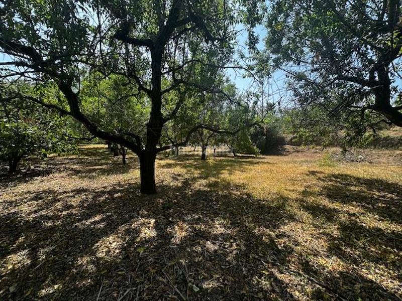 Foto 202b4a54-afdf-4c03-8eb9-ce9ba0b994d3. Terreno residenziale in Riudoms