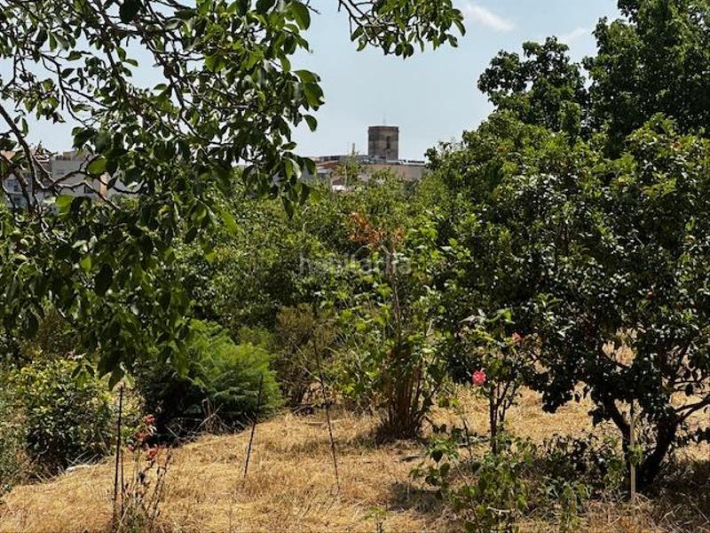 Foto 3914ed4e-2e5a-4617-9fa7-36f0c69bebf0. Terreno residenziale in Riudoms