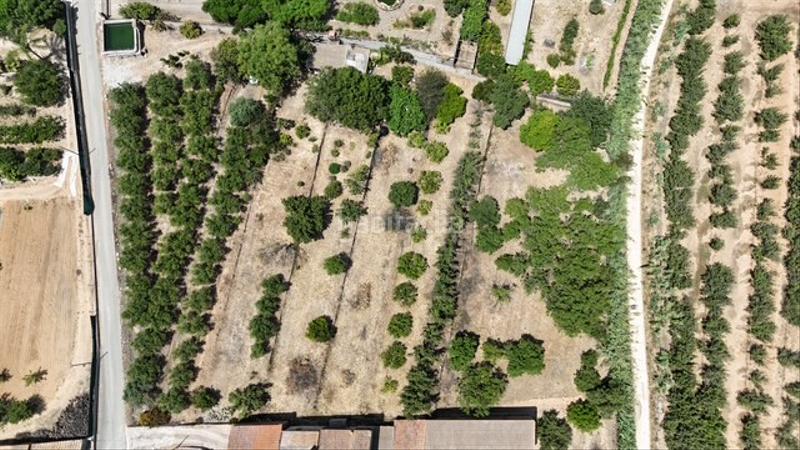 Foto 681421fd-ed73-4d8b-ab46-54e4b58b8163. Terreno residenziale in Riudoms