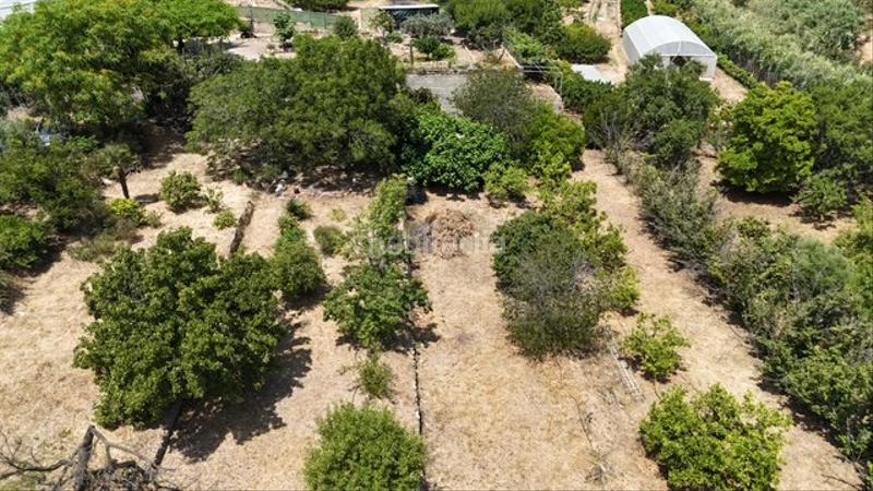 Foto 89f276dc-c834-45bb-a4e1-3ccede76b62a. Terreno residenziale in Riudoms