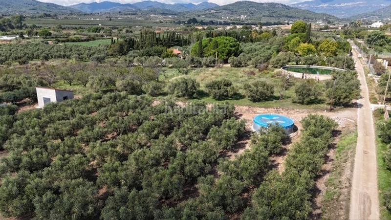 Foto 3cf7fd13-9fb9-418b-8117-73e8345a0b73. Terreno residenziale in Riudoms