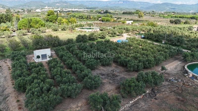 Foto a08e5ca3-6337-4df3-9b88-304b86fbc343. Terreno residenziale in Riudoms
