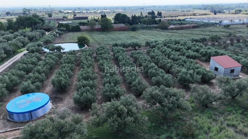 Foto a80af99d-cfeb-4cc6-a4f4-dd650ab4e495. Terreno residenziale in Riudoms