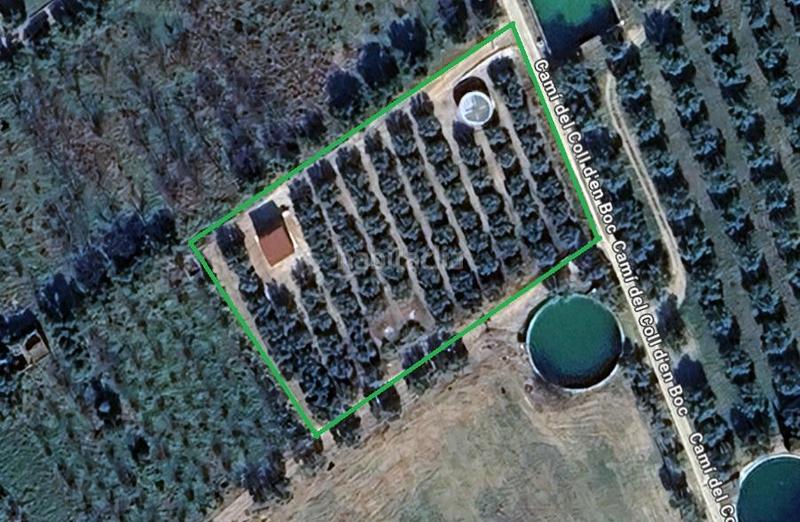 Foto cd3fc14e-a333-450e-b89c-029c126c61b0. Terreno residenziale in Riudoms