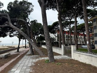 Pis  Diputaci�. Pis amb pk a primera linia de mar