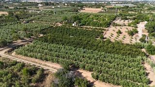 Terreno residenziale  Del remei (burga p18 pc8). Finca rústica amb magatzems agraris