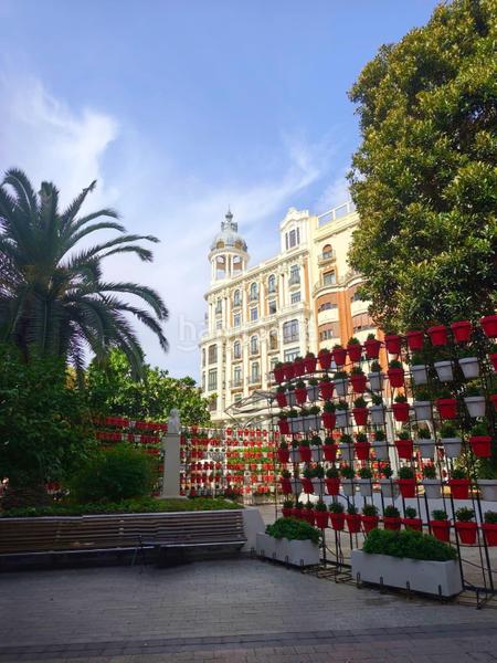 Foto 8b90d23f-66f7-40f6-af89-c05327789353. Pis a calle de saavedra fajardo 17 a San Lorenzo Murcia