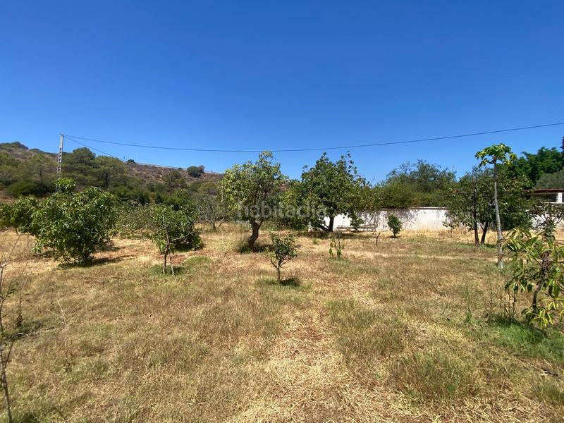 Foto b9fd27e7-7284-4ad4-9864-c7c39fc6601e. Chalet en Los Llanos Estepona