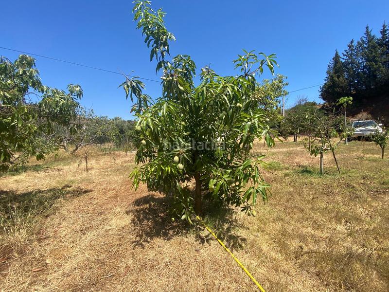 Foto e31ce9ff-95a8-4dae-b612-ea2f5ca2ae1c. Chalet en Los Llanos Estepona