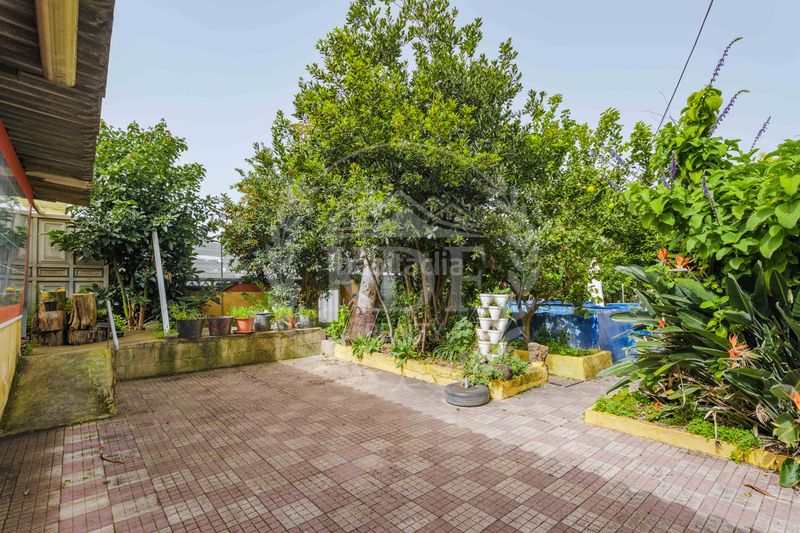 Foto 4627d1f7-1089-47e1-bbdd-380f9d584294. Casa amb xemeneia aparcament piscina a Matanza de Acentejo (La)