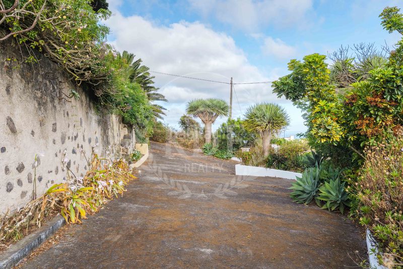 Foto 8c4fa870-47a0-4cc0-85ee-e734b1c227ee. Chalet espectacular casona tradicional canaria de 312 m² y 9 hab. con gran finca privada en Tegueste