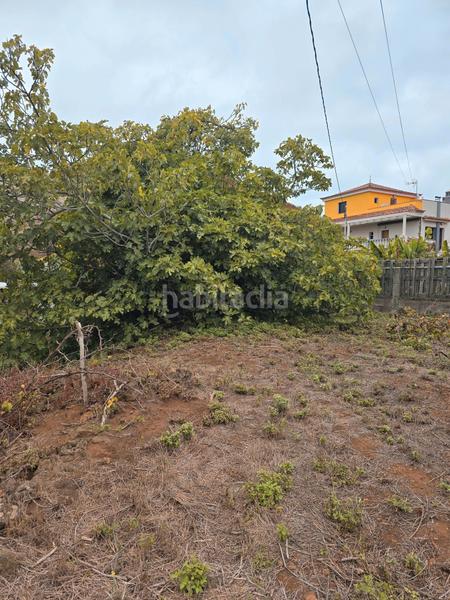 Foto 98eea293-2b36-4957-a552-401b353ff2c0. Terreny residencial a calle san cristobal 83 a Matanza de Acentejo (La)