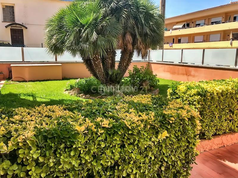 Foto 7530c175-0ac7-4112-a737-ff8b7c6a1f5d. Estudi a dalia 13a a l´Estartit poble Estartit