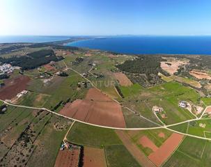 Rural plot  El pilar de la mola, spain. Terreno de 15.000 m2, con proyecto aprobado  formentera