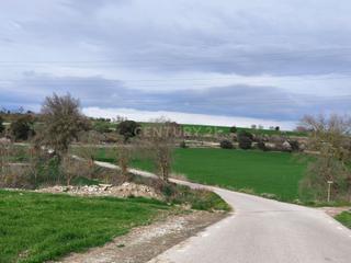 Maison  Sant guim de la plana. Oportunidad casa en venta en sant guim de la plana lleida  140.0