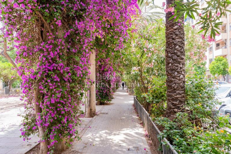 Foto b8de2f66-b345-48a8-961c-7d1c1c47103b. Pis amb calefacció a Ciutat Jardí Valencia