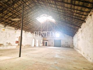 Miete Fabrikhalle  Calle puzol