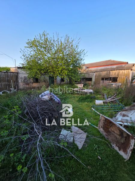 Foto 461a35ee-ebf8-4abb-ad35-cb9a3500d6d8. Xalet amb xemeneia piscina a Coria del Río