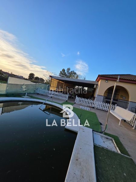 Foto dec7a237-d9b2-41b5-8d62-faf6366637e8. Xalet amb xemeneia piscina a Coria del Río