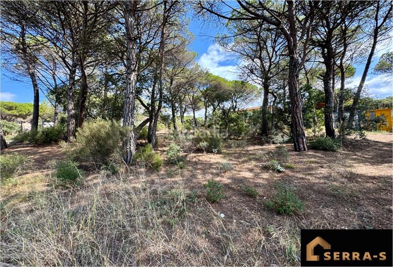 Foto 32b1b8bd-e53d-4eff-8e3b-305c7707a04e. Terreno residenziale in La Goba Vidreres