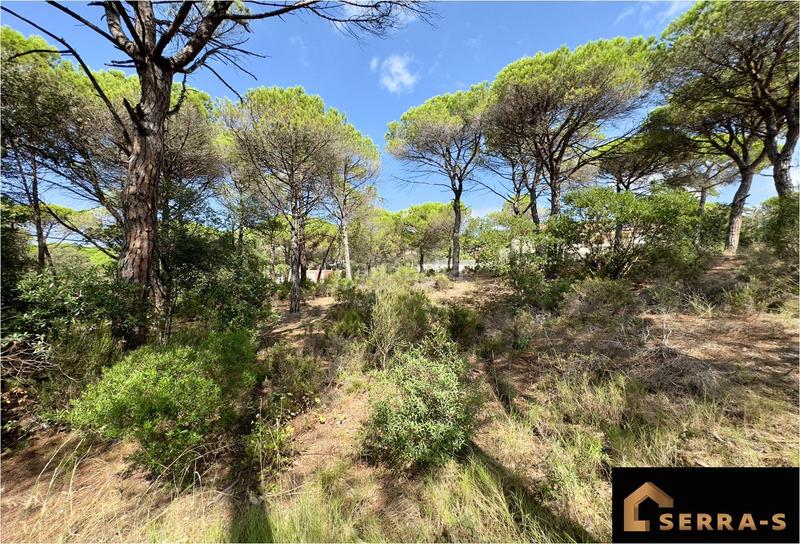 Foto 472bd23c-4e57-45aa-9ea2-e5c2797287f3. Terreno residenziale in La Goba Vidreres