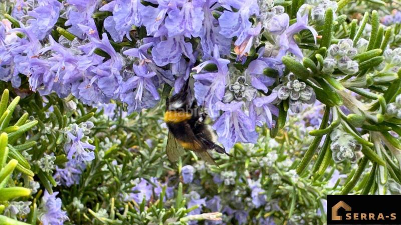 Foto 214b969f-dc48-4213-a248-4588f0038c77. Xalet amb calefacció aparcament piscina a Residencial Park Maçanet de la Selva