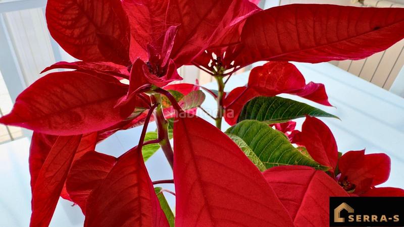 Foto cb588bde-d27f-4f8a-bccd-7d126c0c19f6. Casa con riscaldamento parcheggio in terrabrava - Tordera parc Tordera