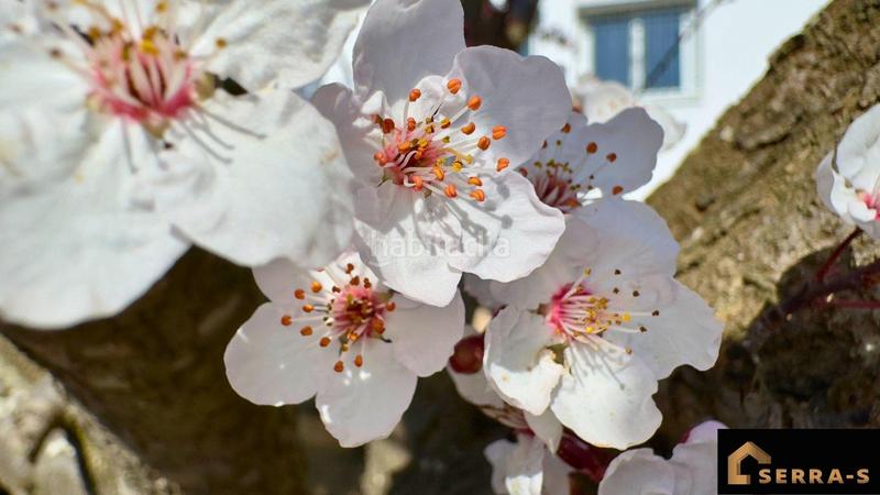 Foto f55155c6-5c0f-4bde-ba74-b2b30a5cc5b1. Casa con riscaldamento parcheggio in terrabrava - Tordera parc Tordera