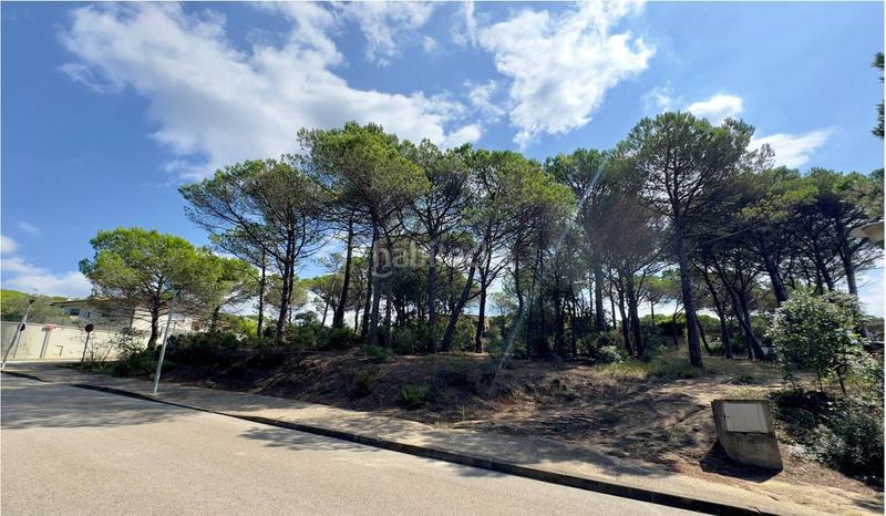 Foto 8d53a058-1cac-4227-906d-58b1f3f6d839. Terreno residenziale in La Goba Vidreres